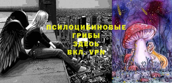 прущая мука Алзамай